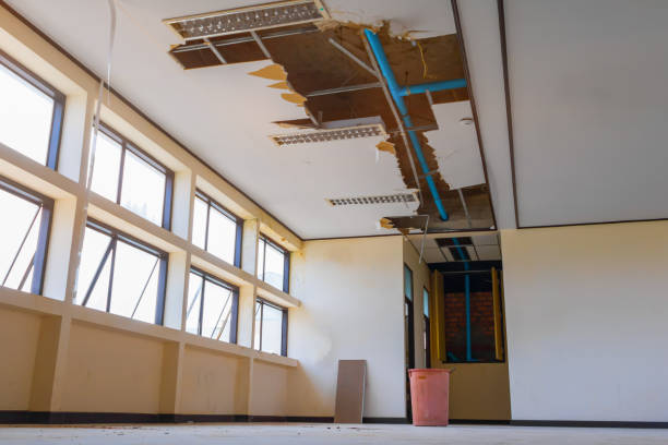 Best Mold removal after water damage  in Bay City, MI