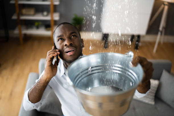 Best Flood restoration services  in Bay City, MI