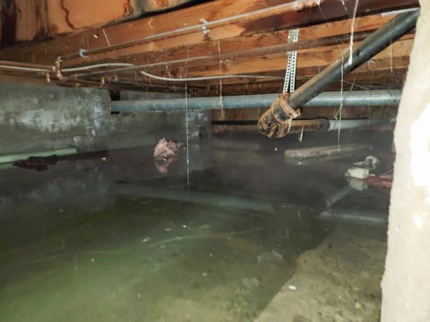 Best 24-hour water damage restoration  in Bay City, MI