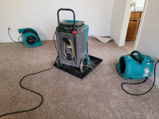 Best Flood damage cleanup  in Bay City, MI