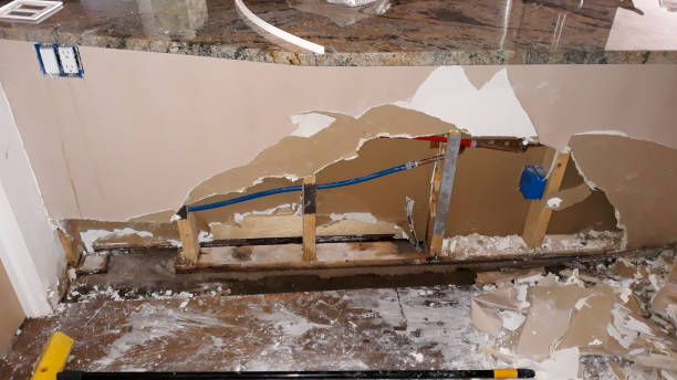 Best Flooded house restoration  in Bay City, MI