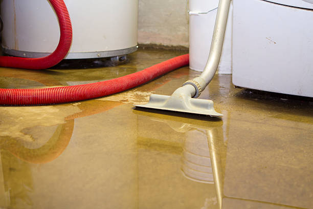 Best Residential water damage restoration  in Bay City, MI