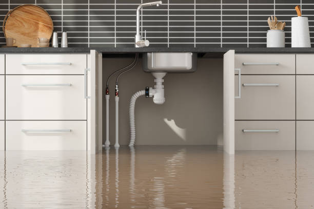Best Water damage restoration near me  in Bay City, MI