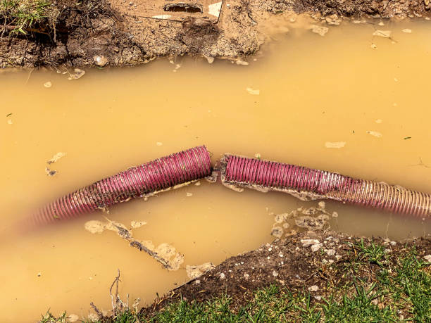 Best Water damage restoration near me  in Bay City, MI