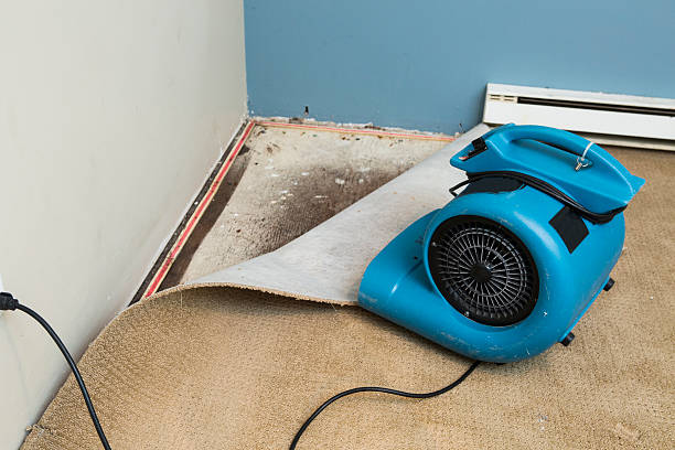 Best Basement water damage restoration  in Bay City, MI